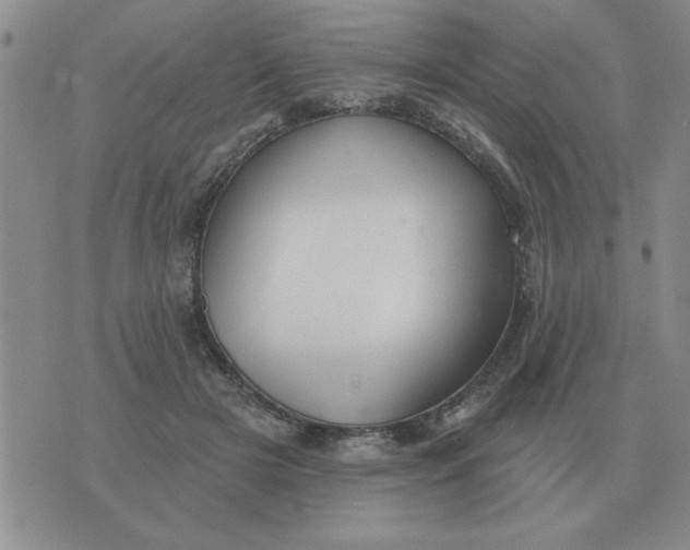 X0000074340505200609152125