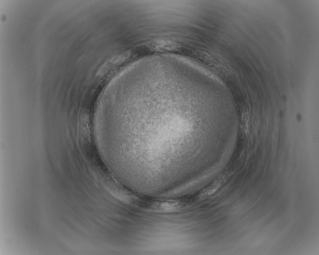 X0000074340506200609152125