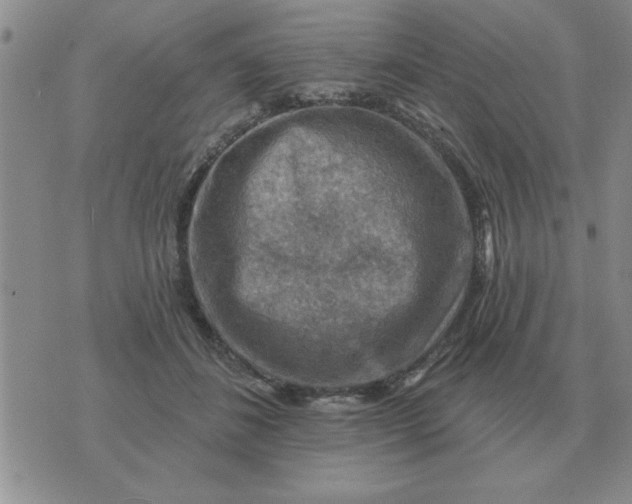 X0000074340508200609152125