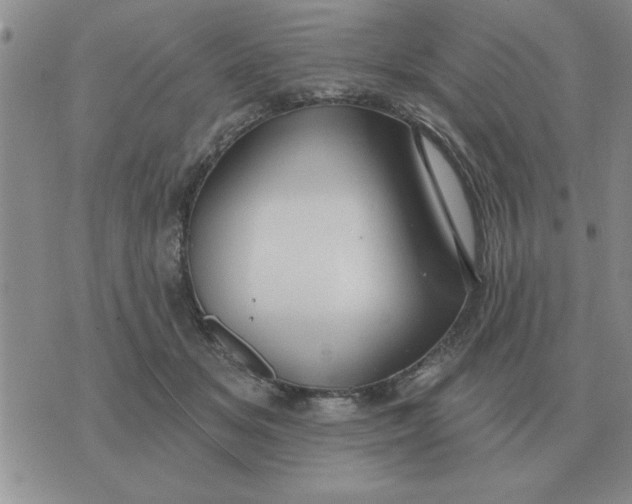 X0000074340509200609152125