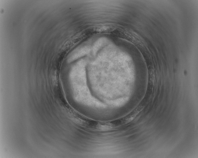 X0000074340510200609152125