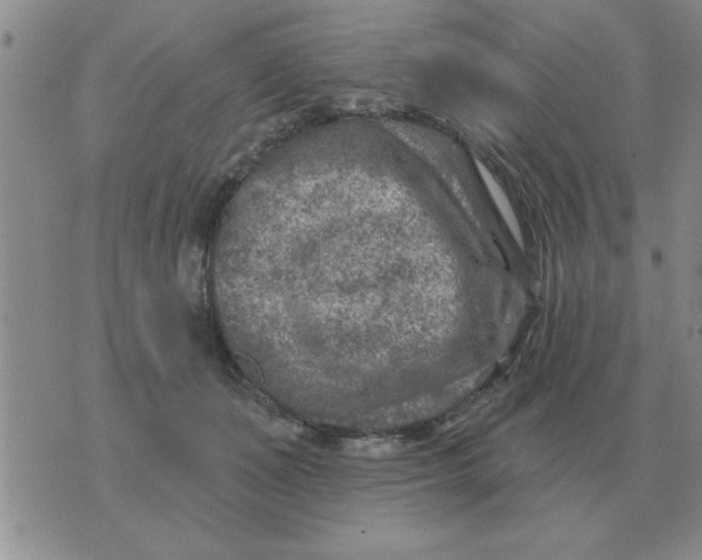 X0000074340511200609152125