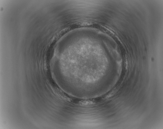 X0000074340512200609152125