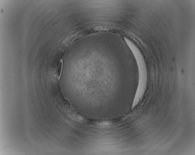 X0000074340513200609152125