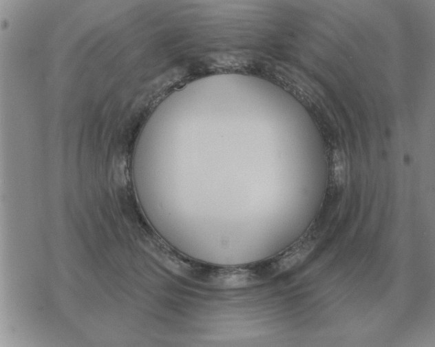 X0000074340514200609152125