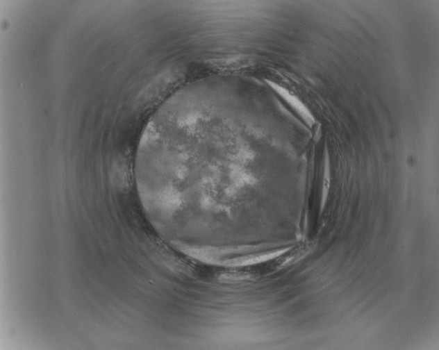 X0000074340515200609152125