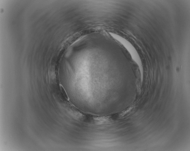 X0000074340516200609152125