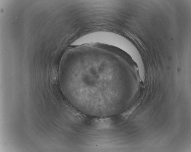 X0000074340517200609152125