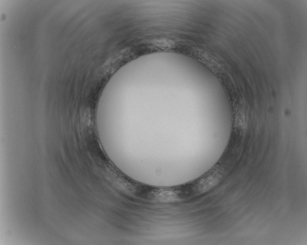 X0000074340518200609152125