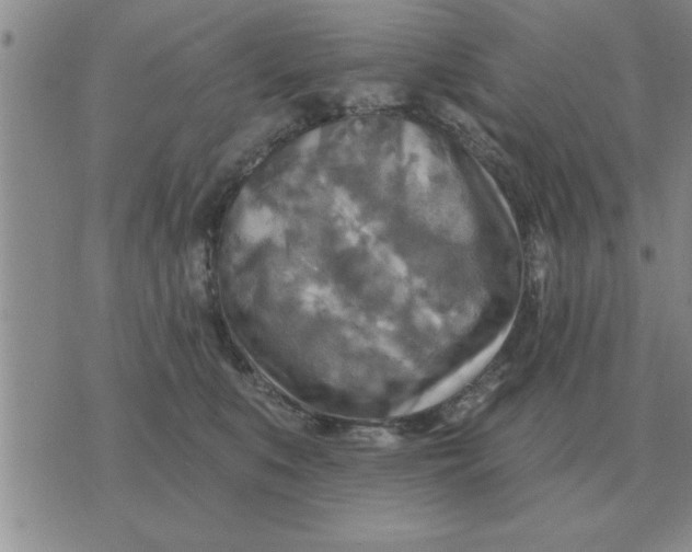 X0000074340519200609152125