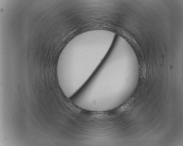 X0000074340521200609152125