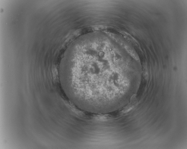 X0000074340523200609152125