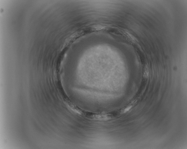 X0000074340524200609152125