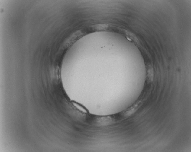 X0000074340525200609152125