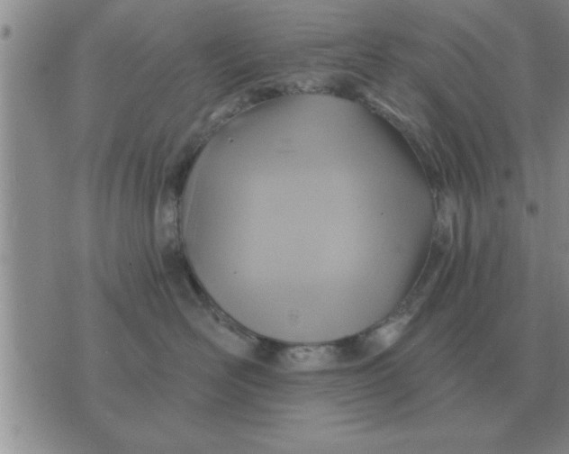 X0000074340526200609152125