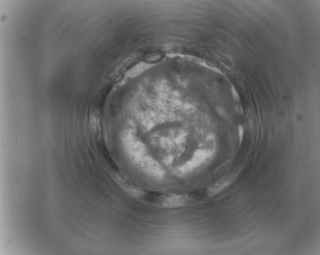 X0000074340527200609152125