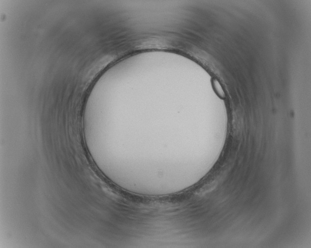 X0000074340529200609152124