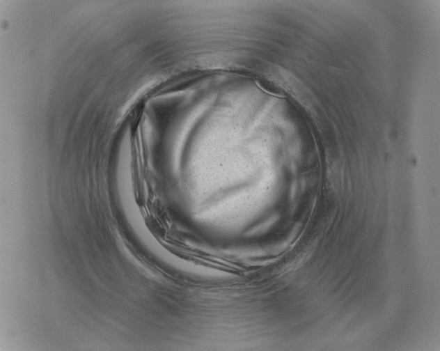 X0000074340530200609152124