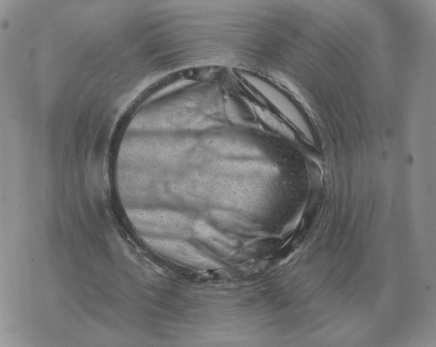 X0000074340532200609152124