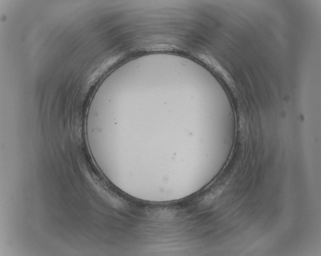 X0000074340533200609152124