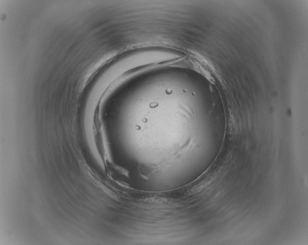 X0000074340535200609152124