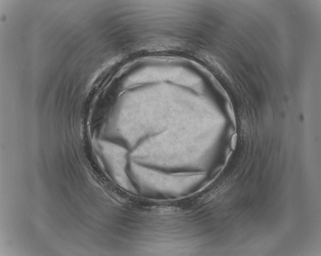 X0000074340539200609152124