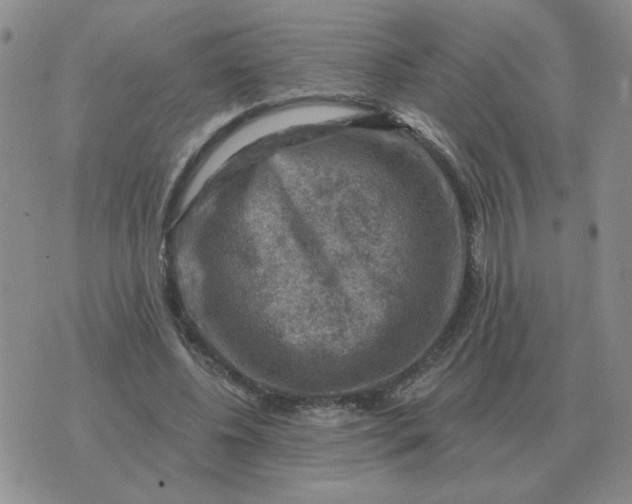 X0000074340540200609152124