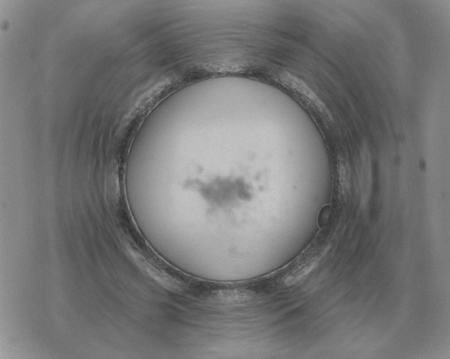 X0000074340541200609152124