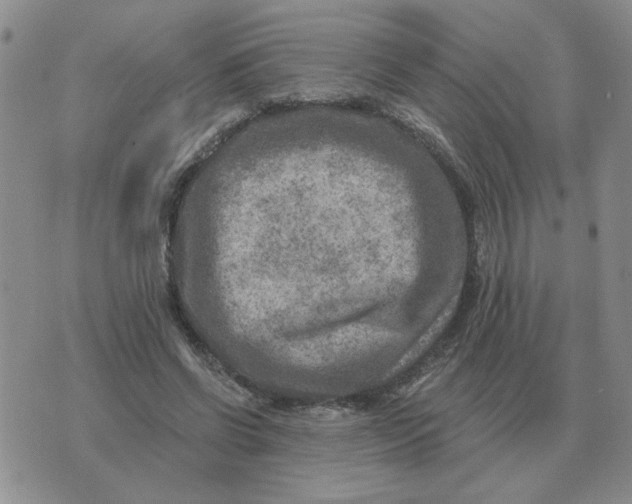 X0000074340542200609152124