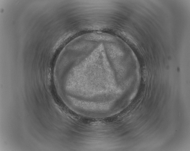 X0000074340544200609152124