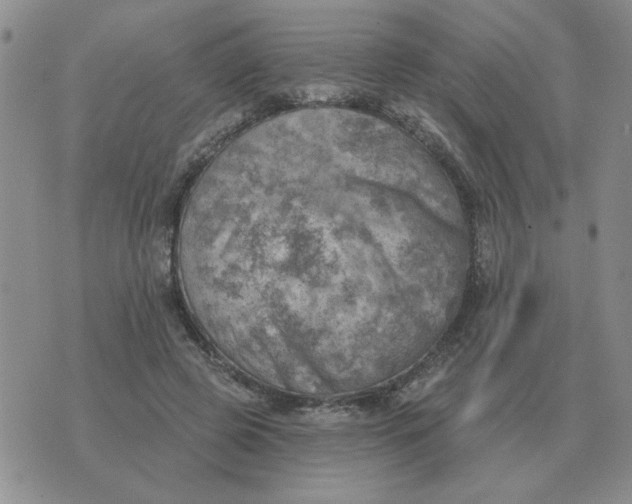 X0000074340545200609152124