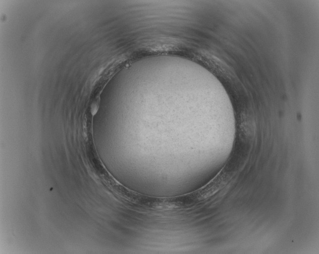 X0000074340547200609152124