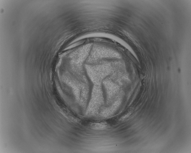 X0000074340548200609152125