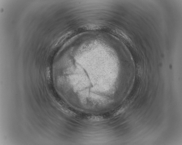 X0000074340549200609152125