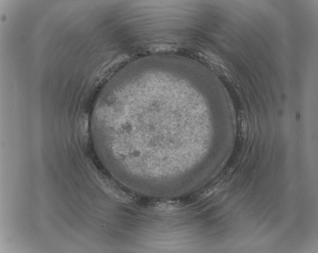 X0000074340550200609152125