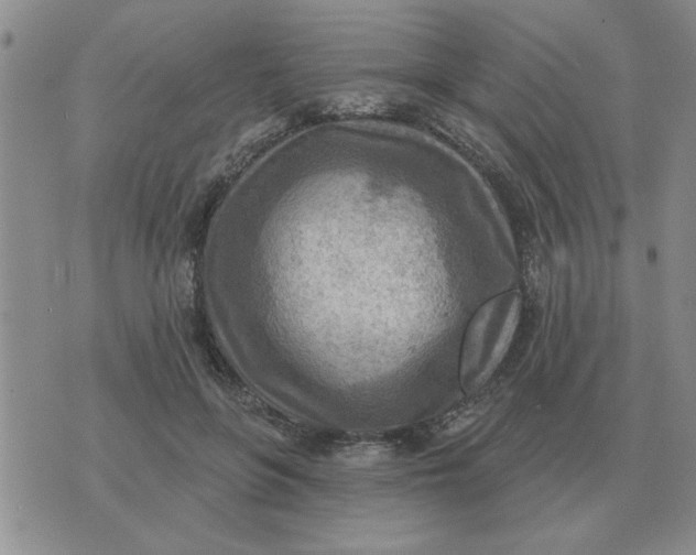 X0000074340551200609152125