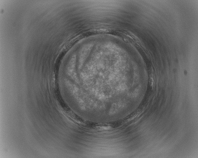 X0000074340552200609152125