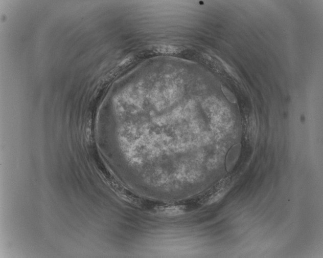 X0000074340553200609152125