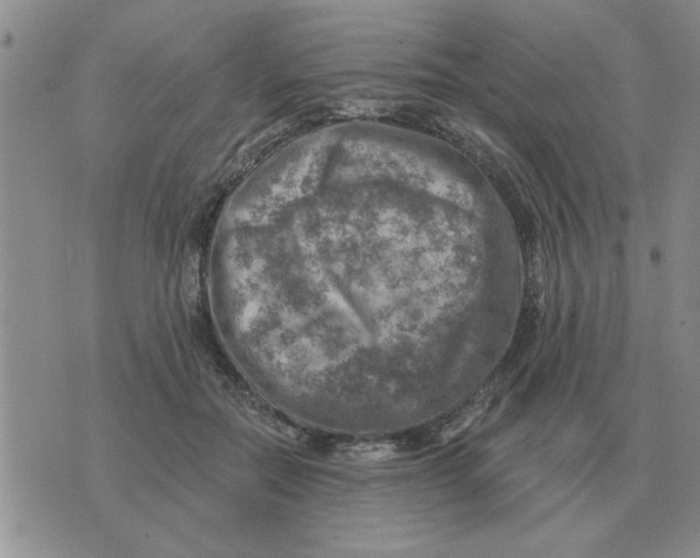 X0000074340554200609152125