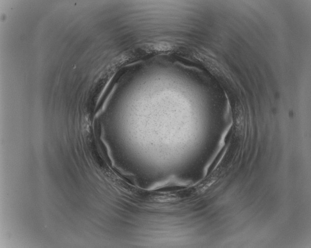 X0000074340555200609152125