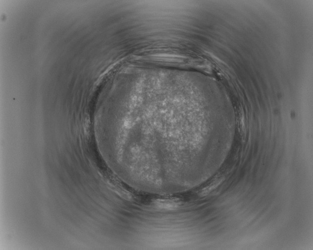 X0000074340556200609152125