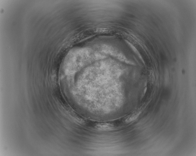 X0000074340557200609152125