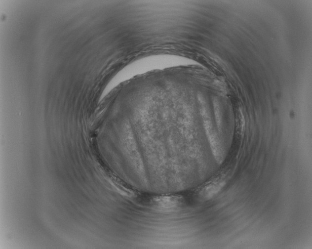 X0000074340558200609152125