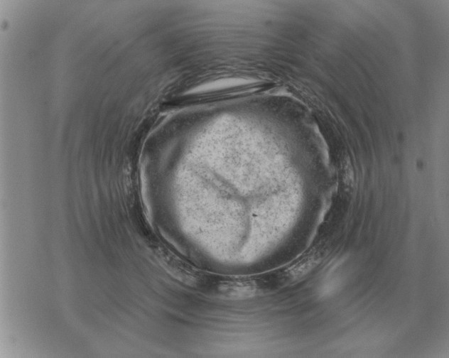 X0000074340559200609152125