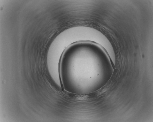 X0000074340560200609152125