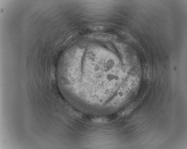 X0000074340561200609152125