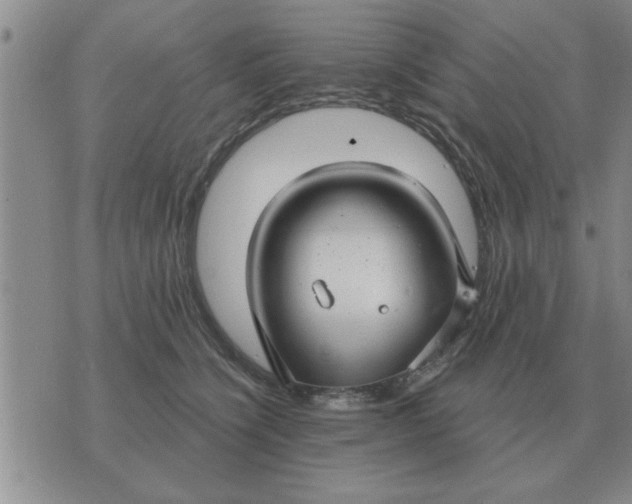 X0000074340564200609152125