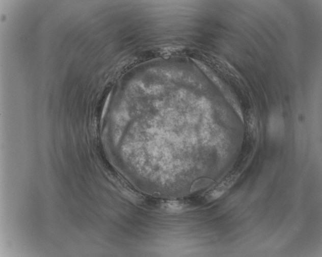 X0000074340565200609152125