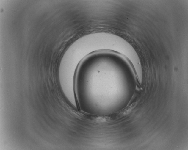 X0000074340566200609152125