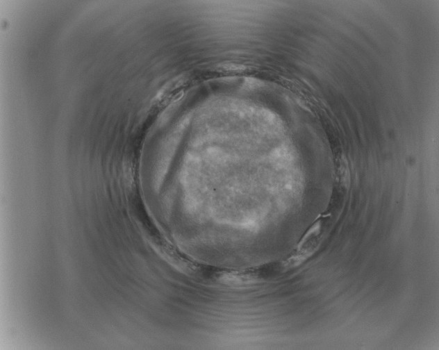 X0000074340568200609152125